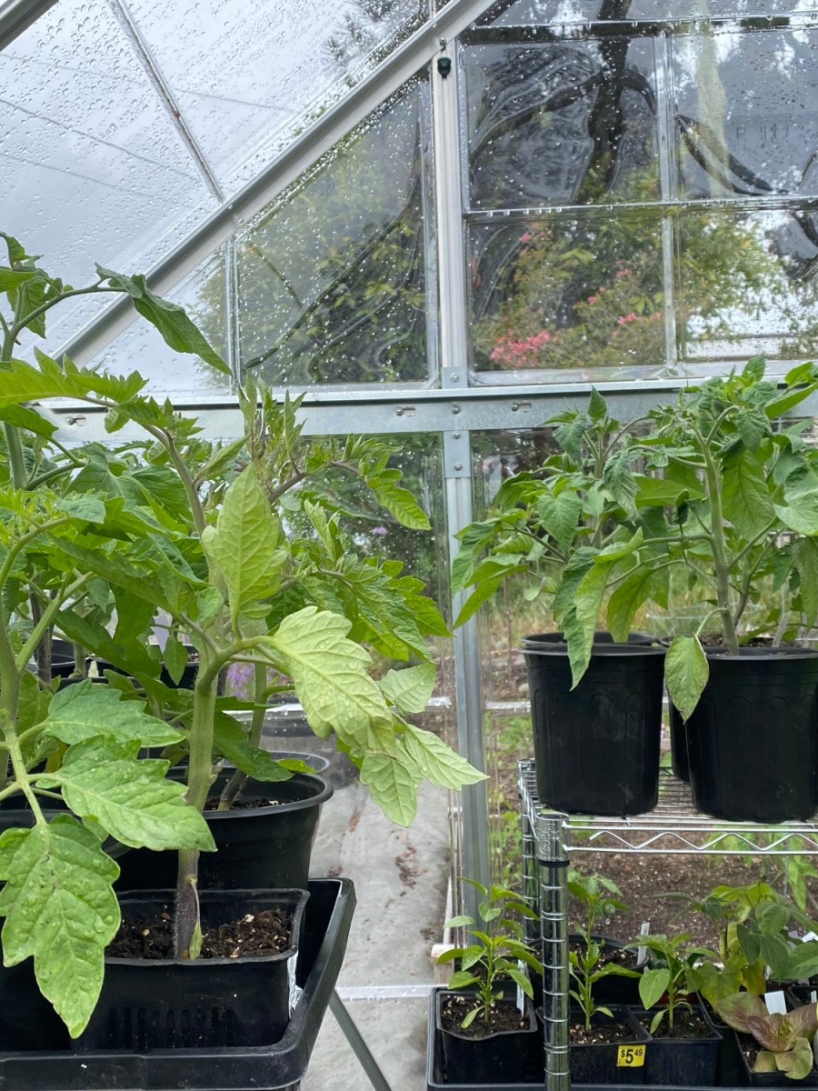 Spring planting has arrived!