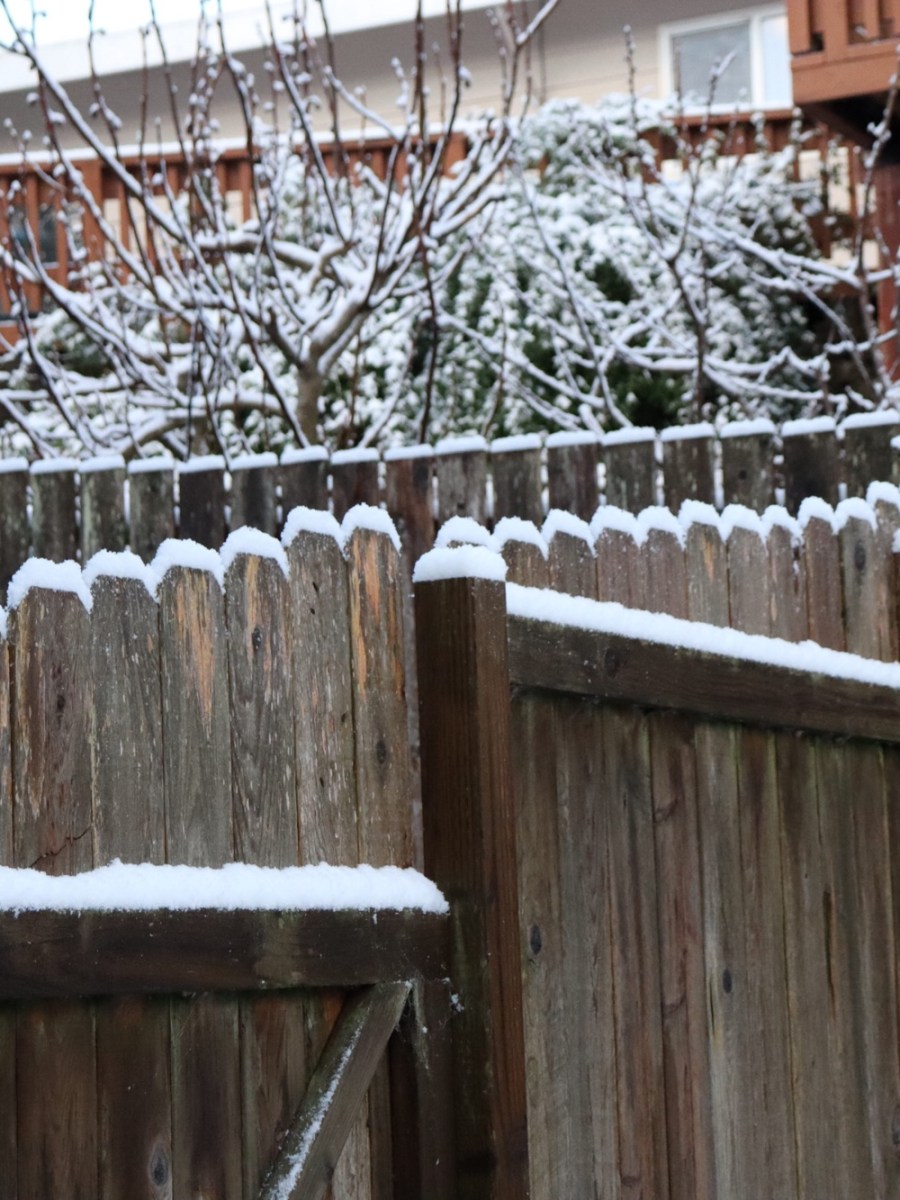 It’s frosty outside!